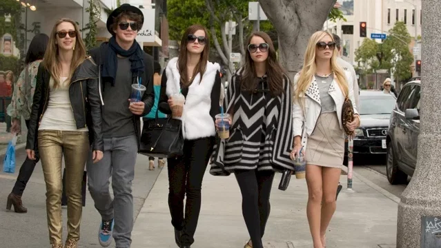 Affiche du film : The Bling Ring