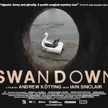 Miniature photo du film : Swandown 