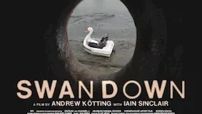 Affiche du film : Swandown 