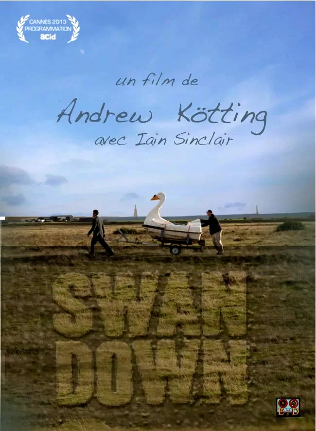 Affiche du film : Swandown 