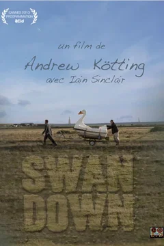 Affiche du film Swandown 