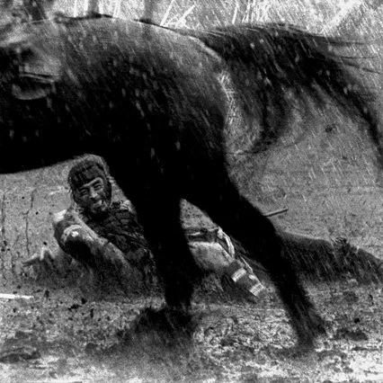 Miniature photo du film : Les 7 Samouraïs 