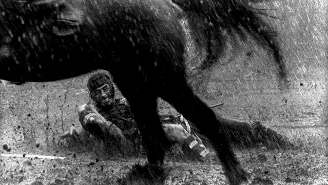 Photo 4 du film : Les 7 Samouraïs 