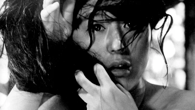 Photo 5 du film : Les 7 Samouraïs 