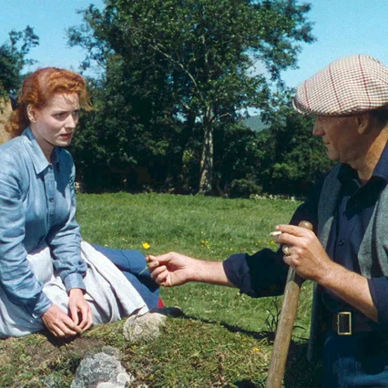 Miniature photo du film : L'homme tranquille