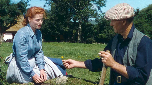 Photo du film : L'homme tranquille