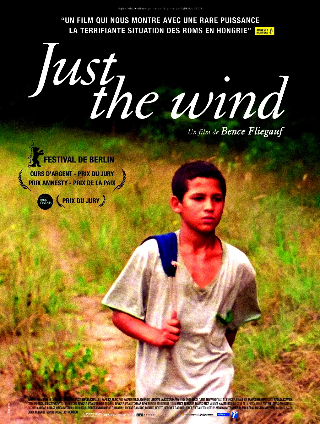 Affiche du film : Just the wind