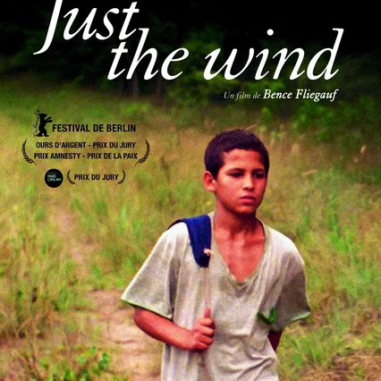 Miniature photo du film : Just the wind
