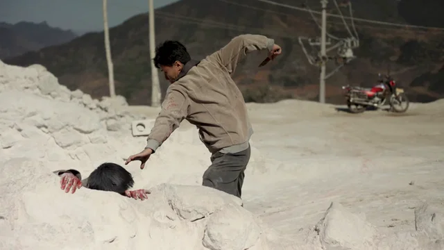 Photo 4 du film : People Mountain People Sea