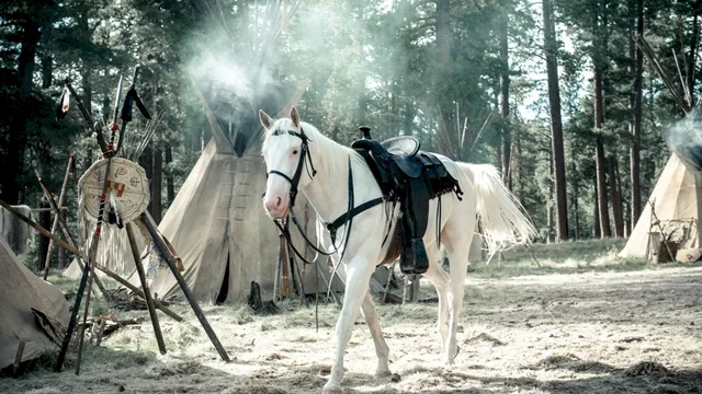 Photo 27 du film : Lone Ranger, Naissance d'un héros 