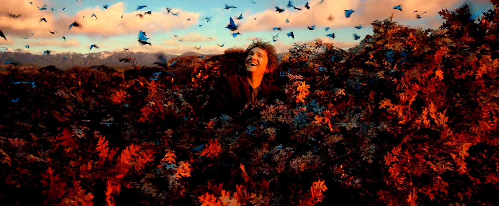 Photo 11 du film : Le Hobbit : la Désolation de Smaug 