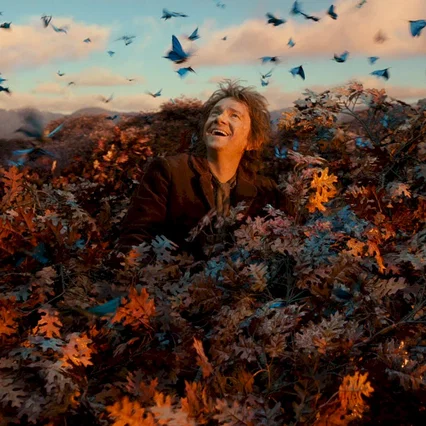 Miniature photo du film : Le Hobbit : la Désolation de Smaug 