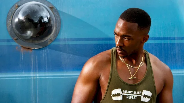 Photo du film : No Pain No Gain 