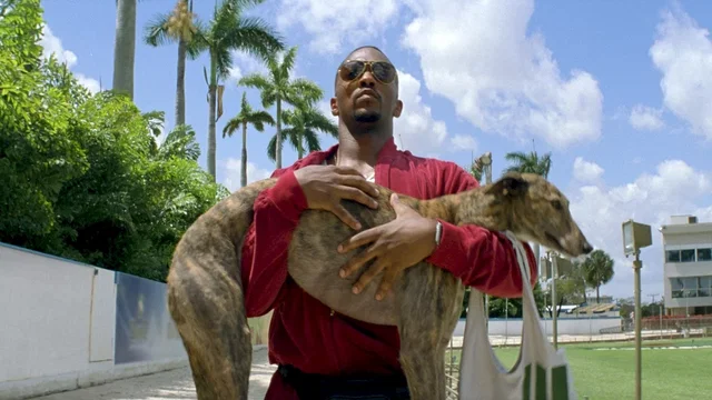 Photo du film : No Pain No Gain 
