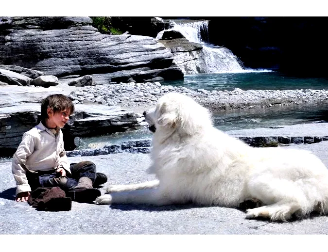 Photo 4 du film : Belle et Sébastien