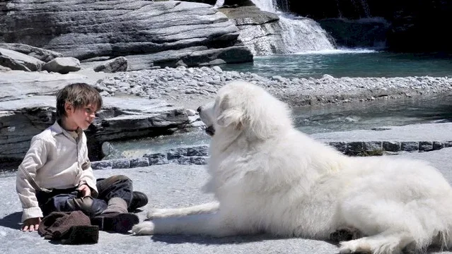 Photo du film : Belle et Sébastien