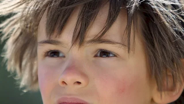 Photo du film : Belle et Sébastien