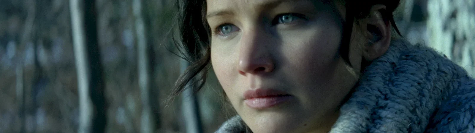 Photo du film : Hunger Games  - L'embrasement 