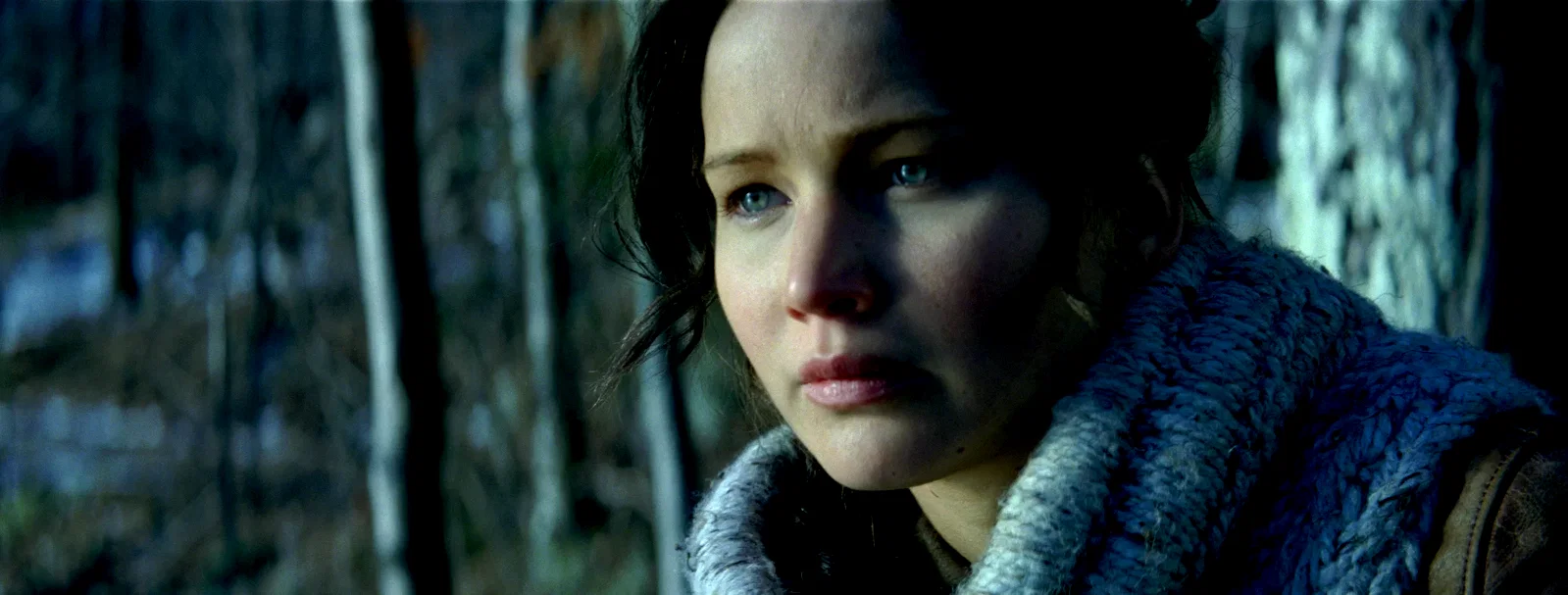 Photo 6 du film : Hunger Games  - L'embrasement 