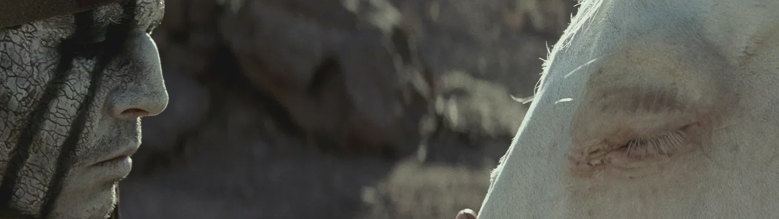 Photo 32 du film : Lone Ranger, Naissance d'un héros 