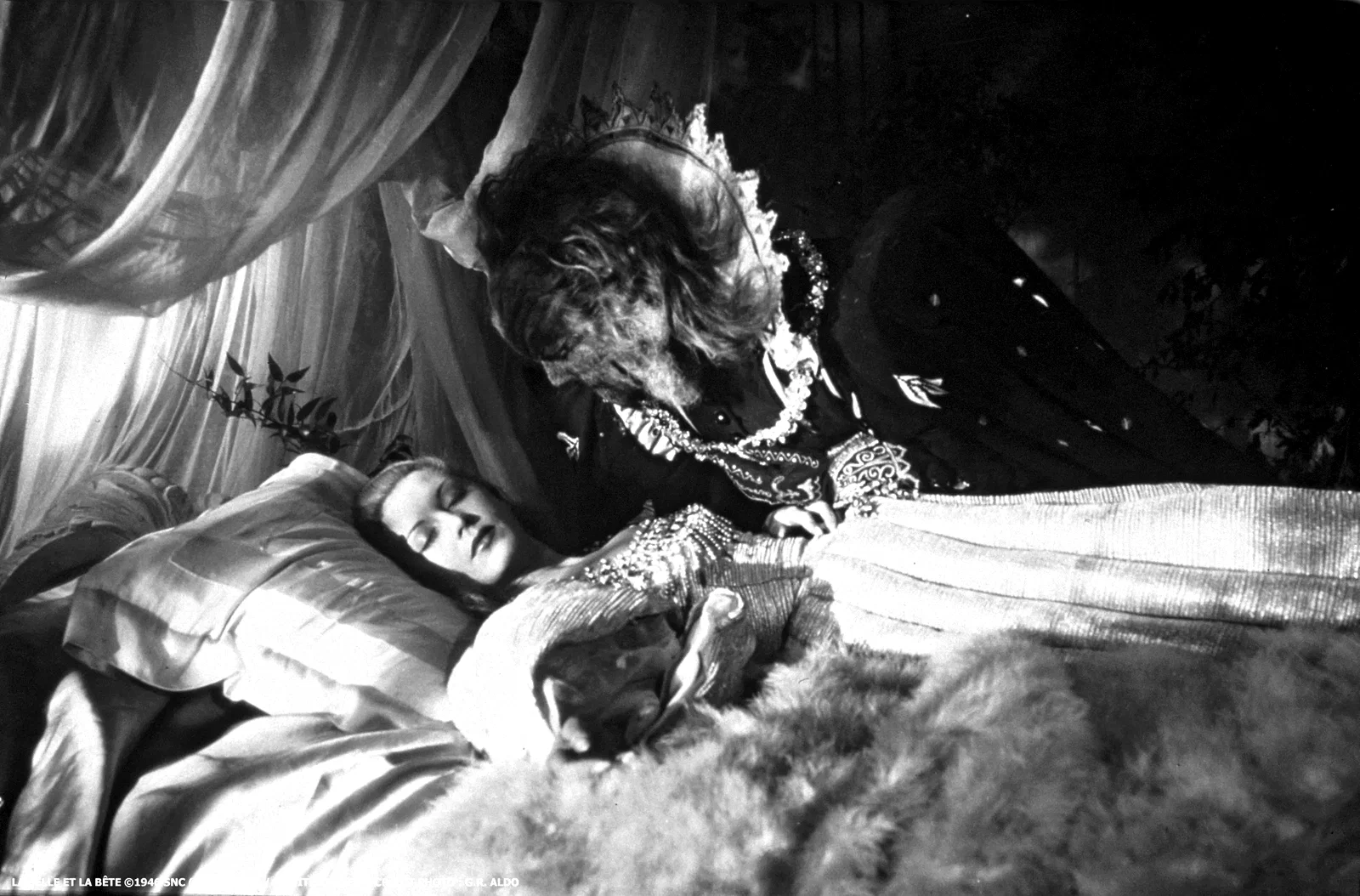 Photo du film : La belle et la bête