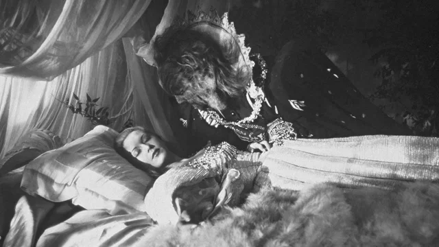 Photo 2 du film : La belle et la bête