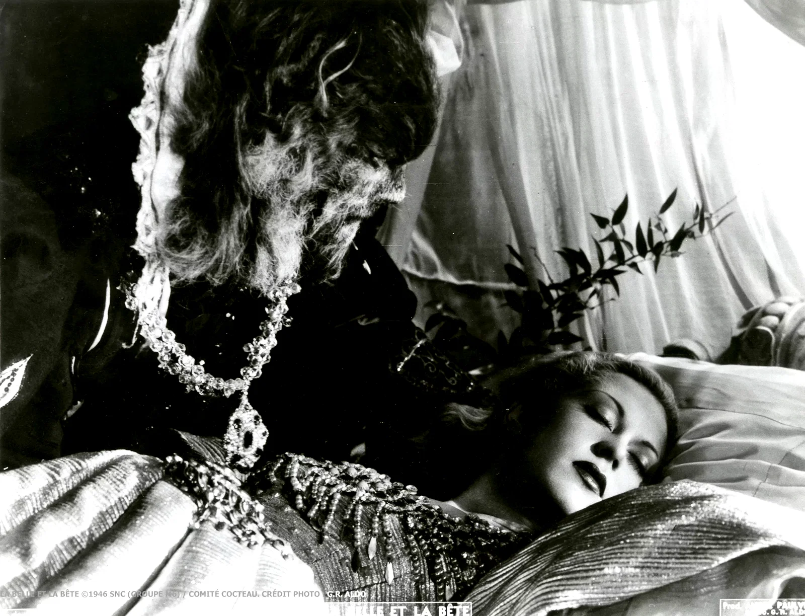 Photo du film : La belle et la bête