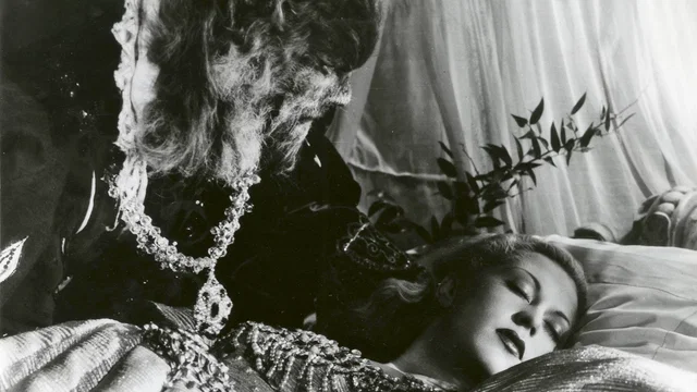 Photo 7 du film : La belle et la bête