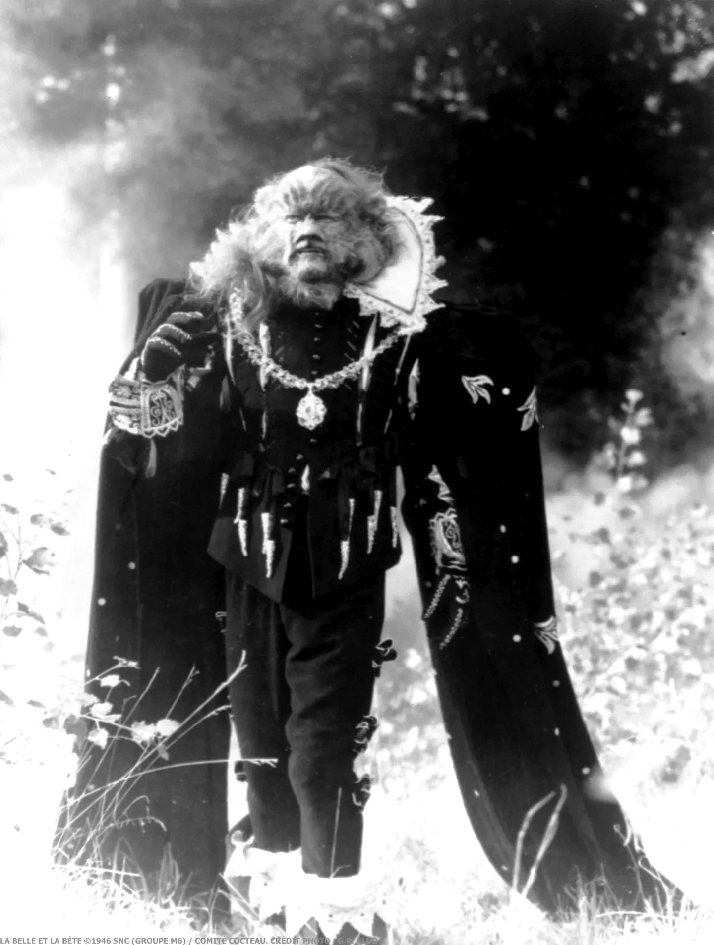 Photo du film : La belle et la bête