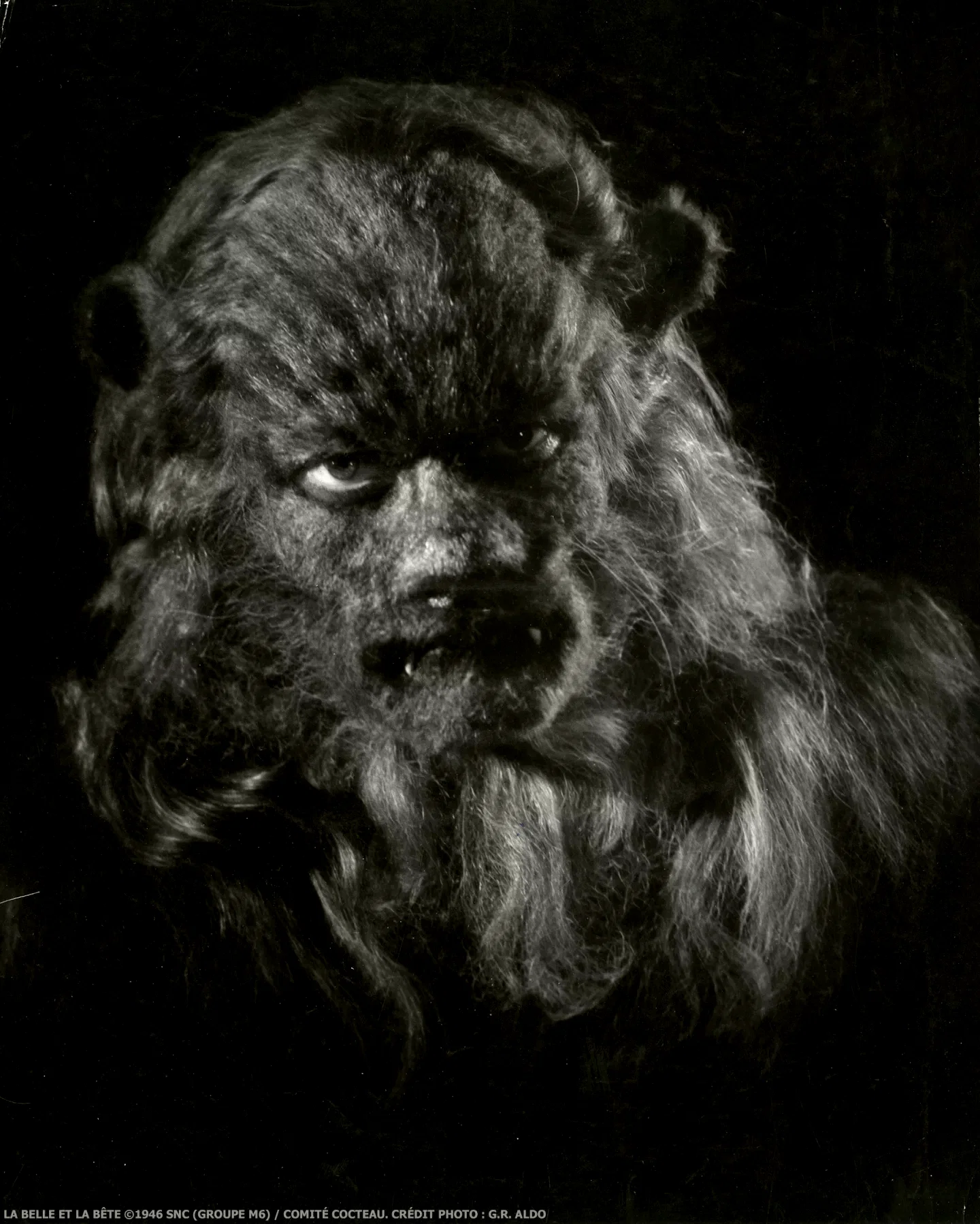 Photo du film : La belle et la bête