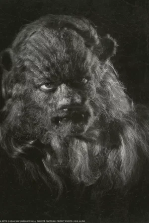 Photo 13 du film : La belle et la bête