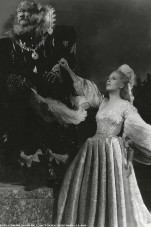 Photo 14 du film : La belle et la bête