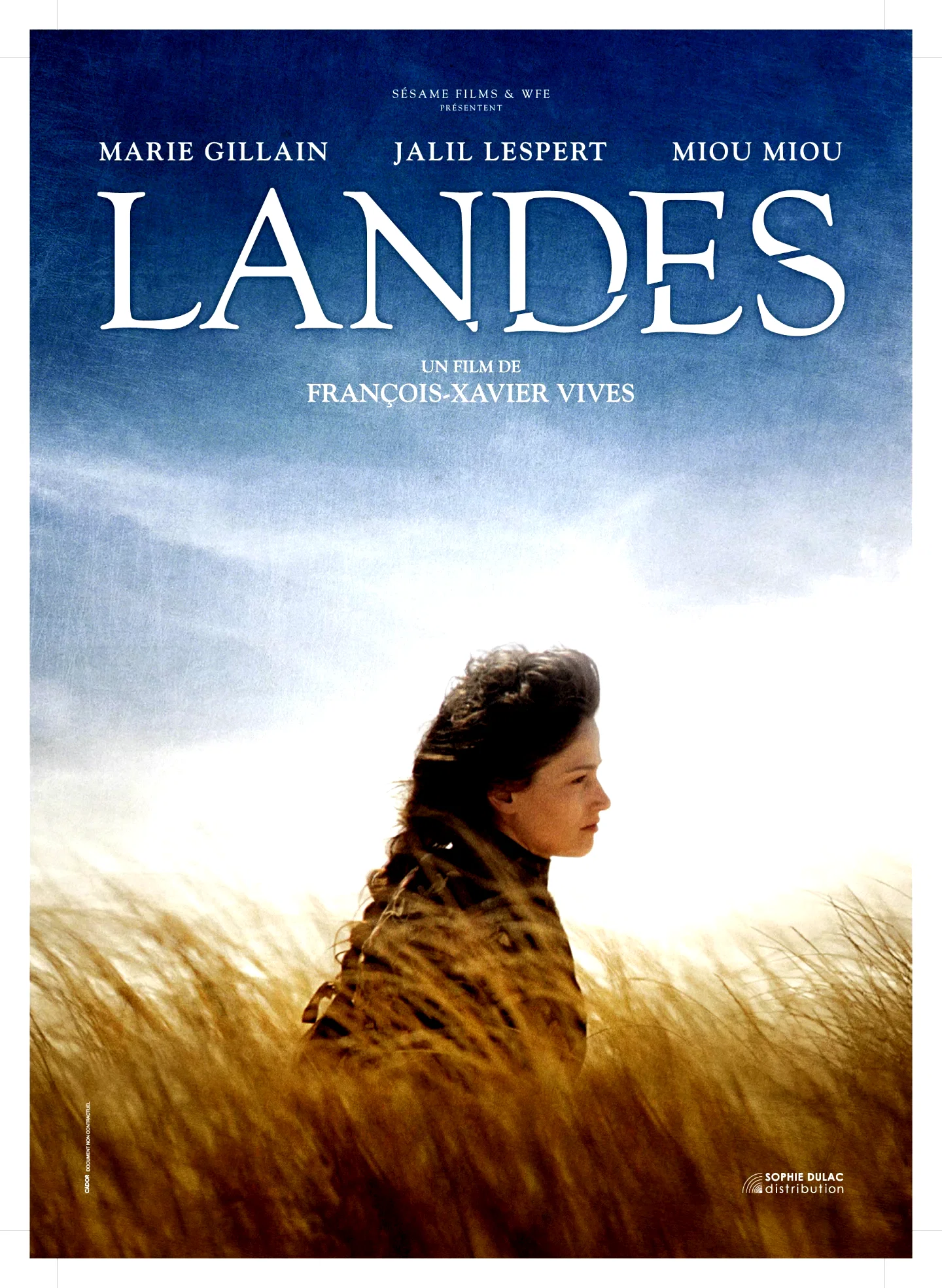 Affiche du film : Landes