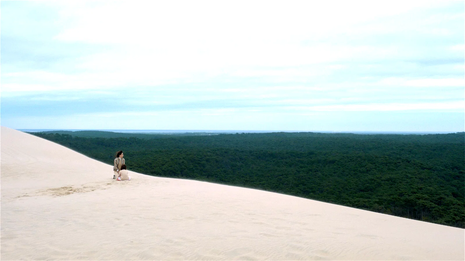 Photo 4 du film : Landes