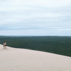 Photo du film : Landes