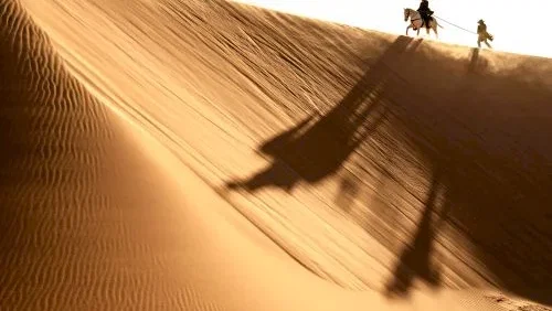 Photo 66 du film : Lone Ranger, Naissance d'un héros 
