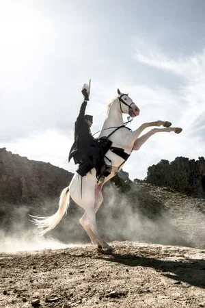 Photo 100 du film : Lone Ranger, Naissance d'un héros 