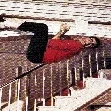 Miniature photo du film : Le tombeur de ces dames