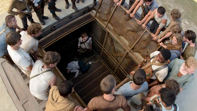 Photo du film : Le Labyrinthe