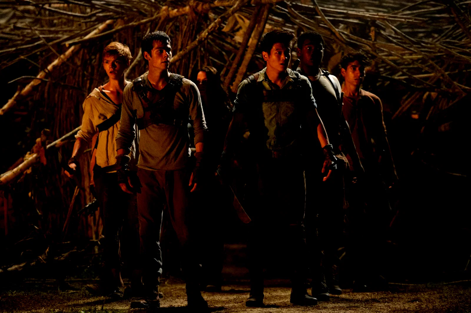 Photo 5 du film : Le Labyrinthe