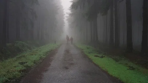 Photo 4 du film : Le Grand'Tour