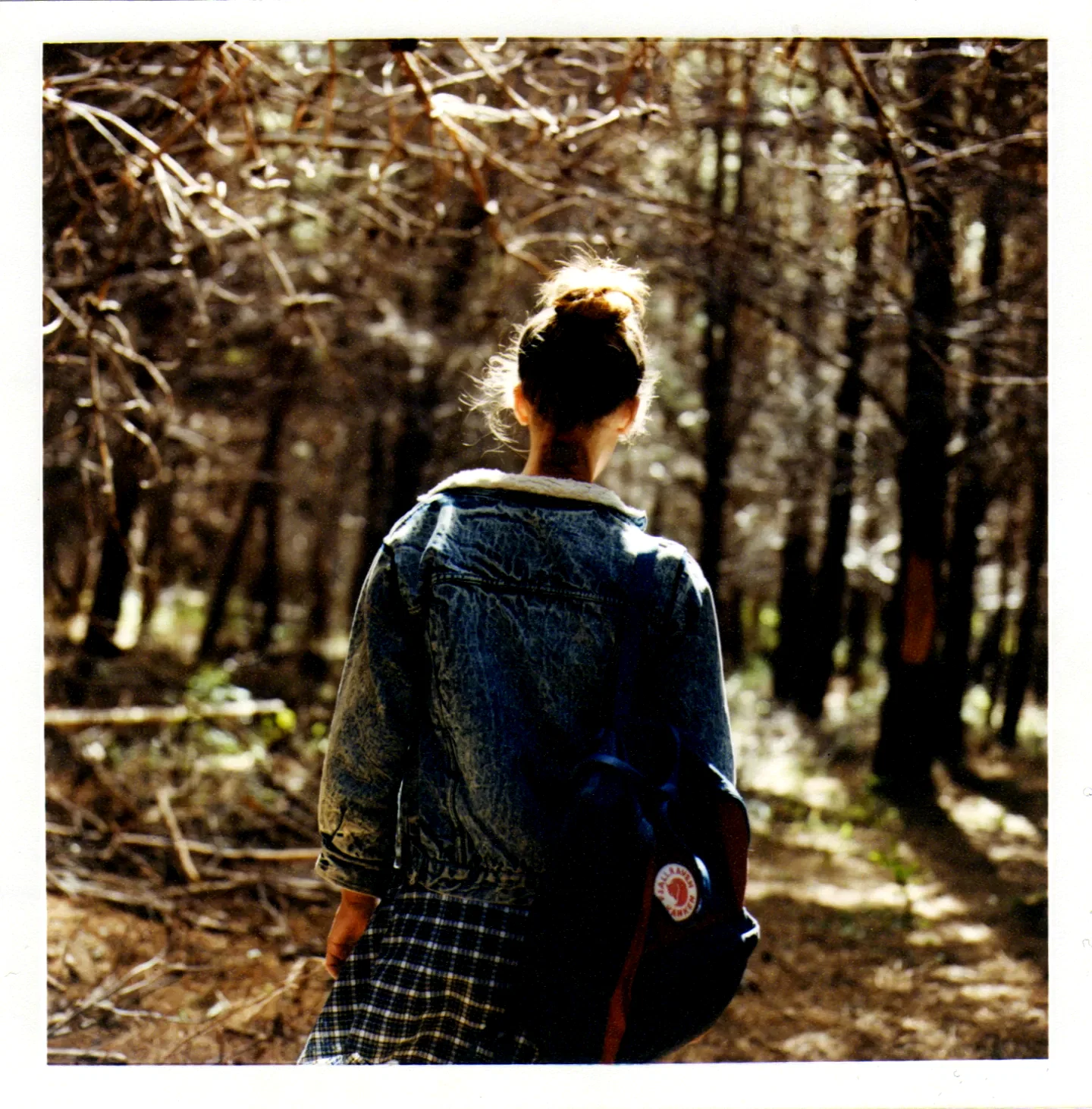 Photo 2 du film : Leones