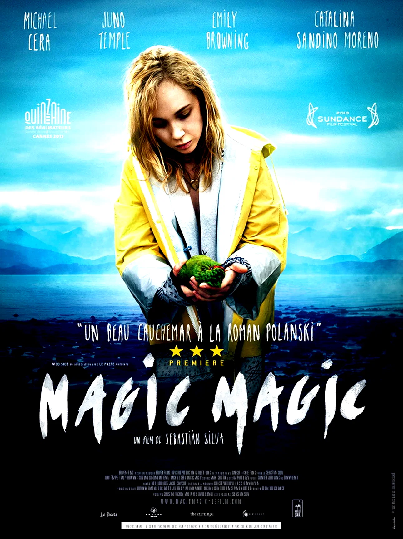 Affiche du film : Magic Magic