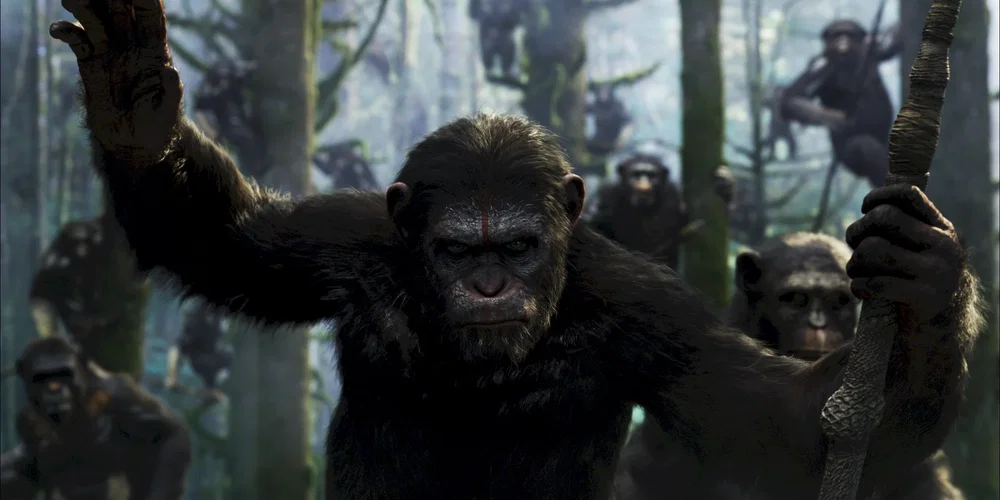 Photo du film : La planète des singes : l'affrontement