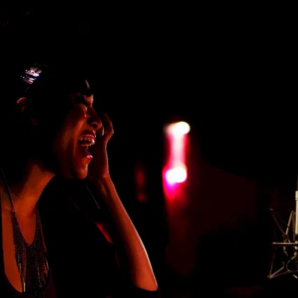Miniature photo du film : Twenty Feet From Stardom 