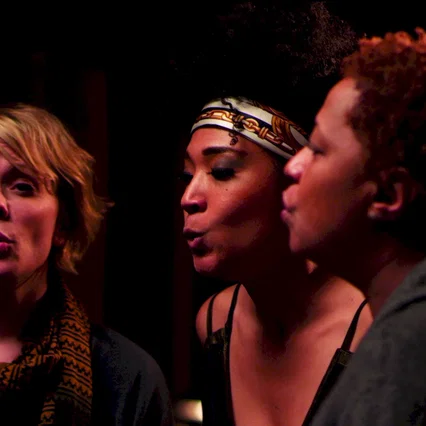 Miniature photo du film : Twenty Feet From Stardom 