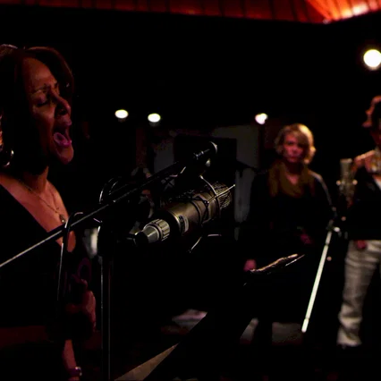 Miniature photo du film : Twenty Feet From Stardom 