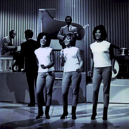 Miniature photo du film : Twenty Feet From Stardom 