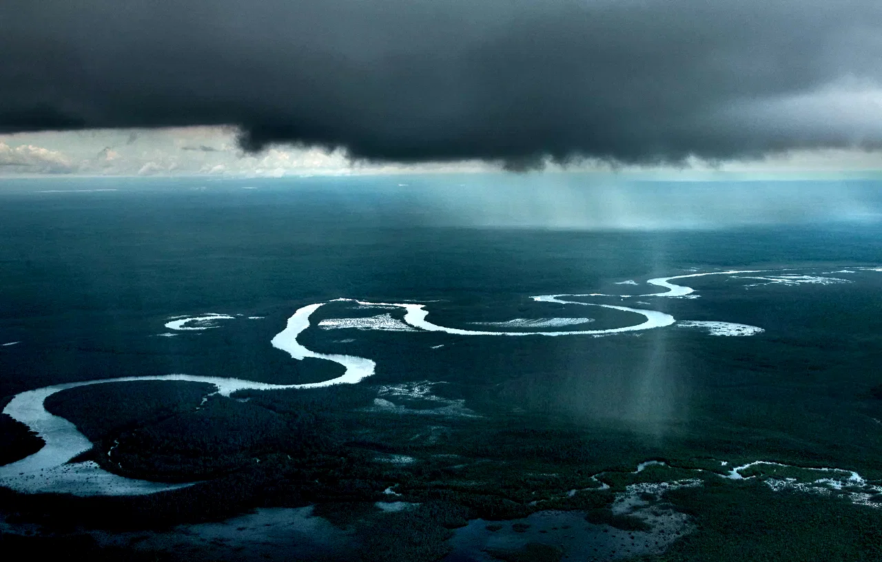 Photo 6 du film : Amazonia