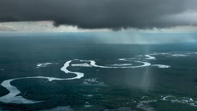 Photo 6 du film : Amazonia